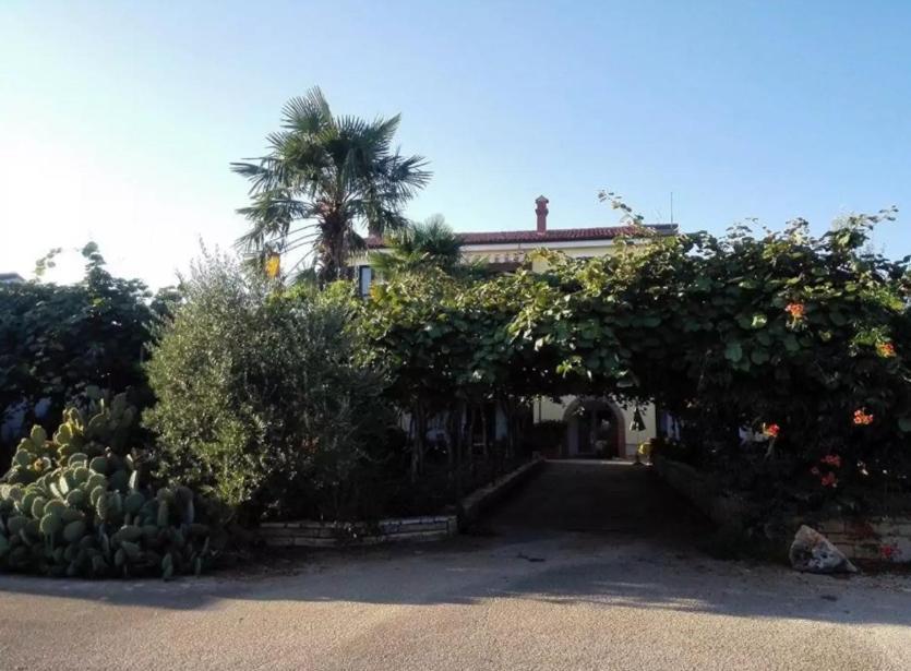 App Carla Apartamento Novigrad Istria Exterior foto