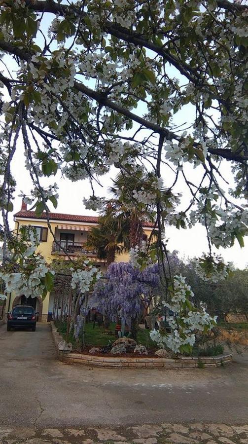 App Carla Apartamento Novigrad Istria Exterior foto