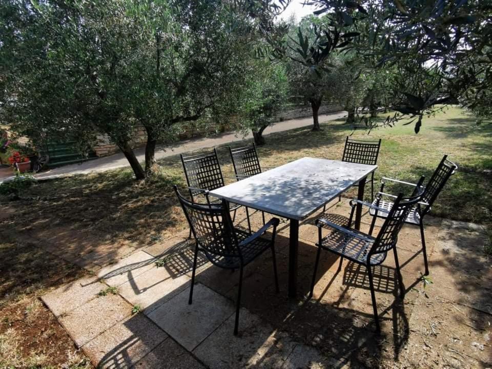 App Carla Apartamento Novigrad Istria Exterior foto