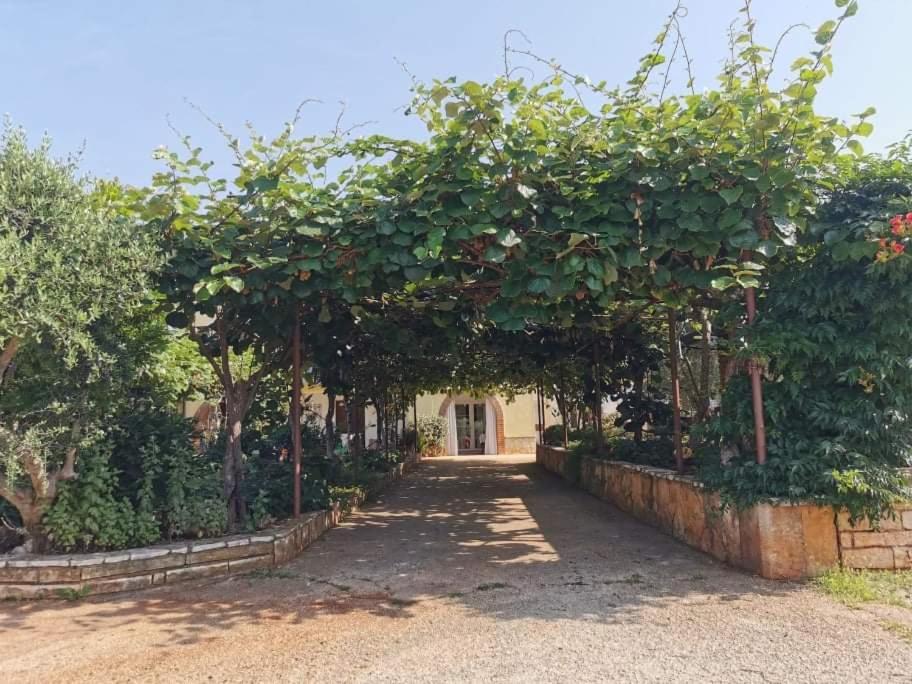 App Carla Apartamento Novigrad Istria Exterior foto