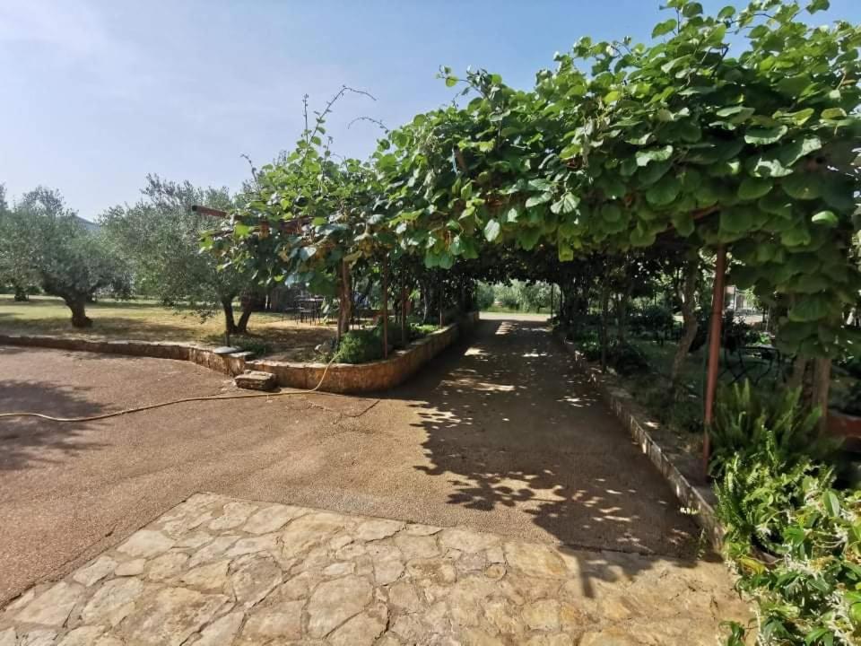 App Carla Apartamento Novigrad Istria Exterior foto